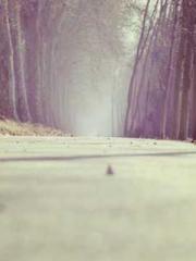 My Sweet Wife: The C