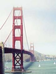 The Favorite Concubi