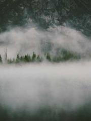 lt;lt;The Trash Husb