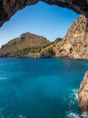 The Stand-in Wife Wa