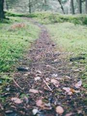 The Best Little Body