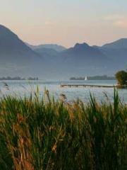 Qi is thin, but I be