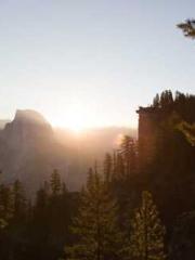 A Wifeapos;s Plea fo