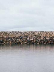 A Heavenly Gift: The