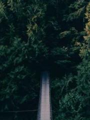 The Ugly Womanapos;s