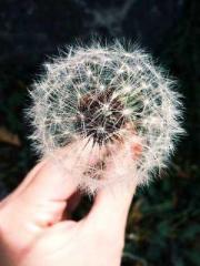 On our wedding night