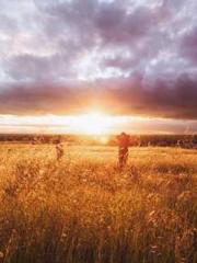 lt;Marry at first si