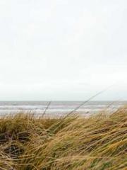 lt;lt;lt;lt;Yearning