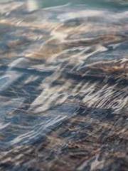 lt;Marry at first si