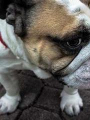 Wine, sex, money and