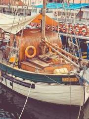 Peninsula Asteroid l