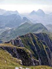 Transmigration: Feel