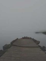 Falling for You: The