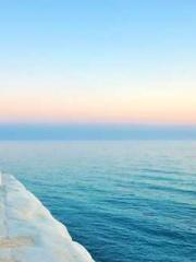 The Poisonous Doctor