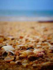 First Era, Dragon Lo